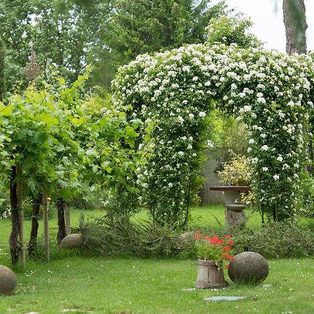 Ca'Bevilacqua Bed&Breakfast Бертіноро Екстер'єр фото