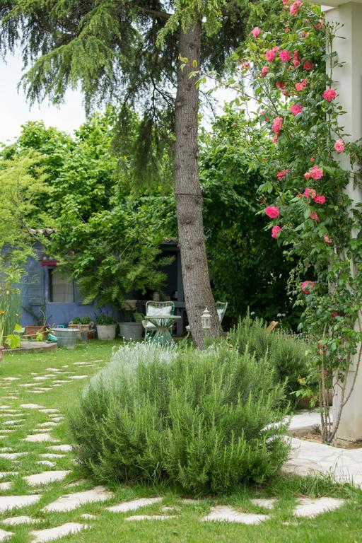 Ca'Bevilacqua Bed&Breakfast Бертіноро Екстер'єр фото