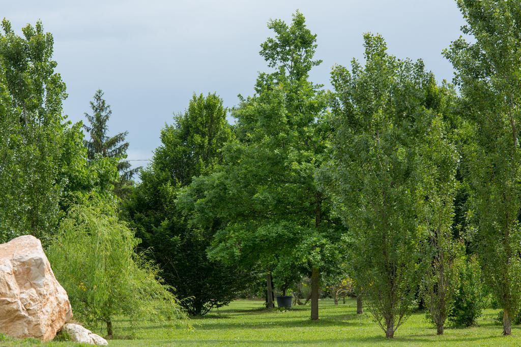Ca'Bevilacqua Bed&Breakfast Бертіноро Екстер'єр фото