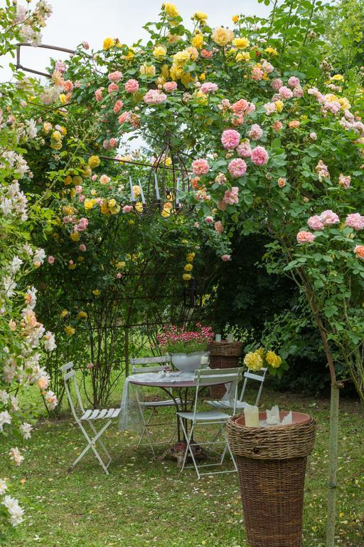 Ca'Bevilacqua Bed&Breakfast Бертіноро Екстер'єр фото